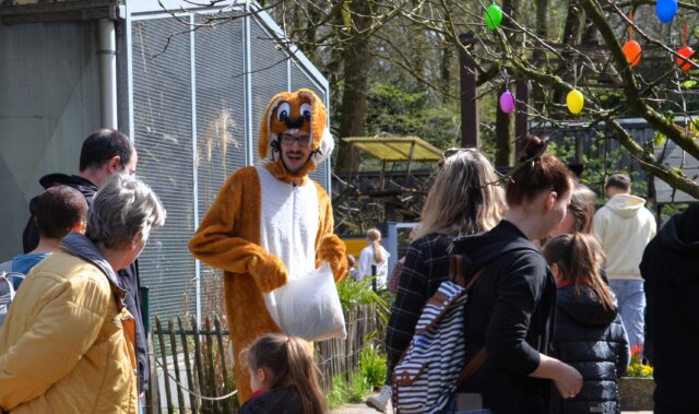 Wieder war der Osterhase beim diesjährigen Osterfest im Vogelpark der absolute Publikumsliebling. (Archivfoto: © Martina Hörle)