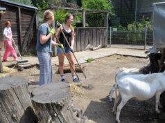 Gymnasium Vogelsang: Social Day im Vogelpark Rund 20 Schülerinnen und Schüler des Gymnasiums Vogelsang tauschten am Social Day das Klassenzimmer mit dem Vogelpark. Die Tierpflege gehörte unter anderem auch zu den anfallenden Aufgaben. (Foto: © Martina Hörle)