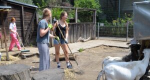 Gymnasium Vogelsang: Social Day im Vogelpark Rund 20 Schülerinnen und Schüler des Gymnasiums Vogelsang tauschten am Social Day das Klassenzimmer mit dem Vogelpark. Die Tierpflege gehörte unter anderem auch zu den anfallenden Aufgaben. (Foto: © Martina Hörle)