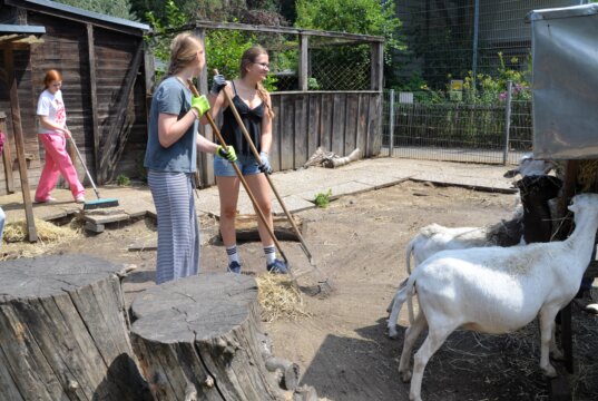 Rund 20 Schülerinnen und Schüler des Gymnasiums Vogelsang tauschten am Social Day das Klassenzimmer mit dem Vogelpark. Die Tierpflege gehörte unter anderem auch zu den anfallenden Aufgaben. (Foto: © Martina Hörle)