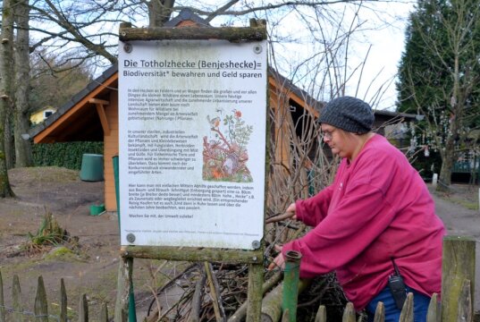 Dank einer unvorstellbaren Welle der Solidarität konnte der Solinger Vogel- und Tierpark kurz vor Weihnachten vor der Schließung gerettet werden. Jetzt werden längst fällige Projekte, wie das Anlegen einer Benjeshecke, in Angriff genommen. (Foto: © Martina Hörle)