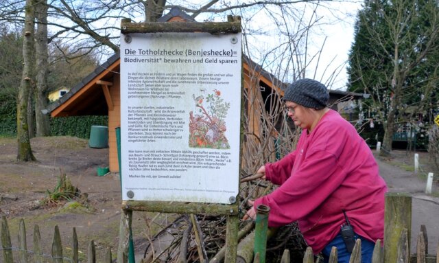 Welle-Solidarität-Vogelpark - 1 Dank einer unvorstellbaren Welle der Solidarität konnte der Solinger Vogel- und Tierpark kurz vor Weihnachten vor der Schließung gerettet werden. Jetzt werden längst fällige Projekte, wie das Anlegen einer Benjeshecke, in Angriff genommen. (Foto: © Martina Hörle)