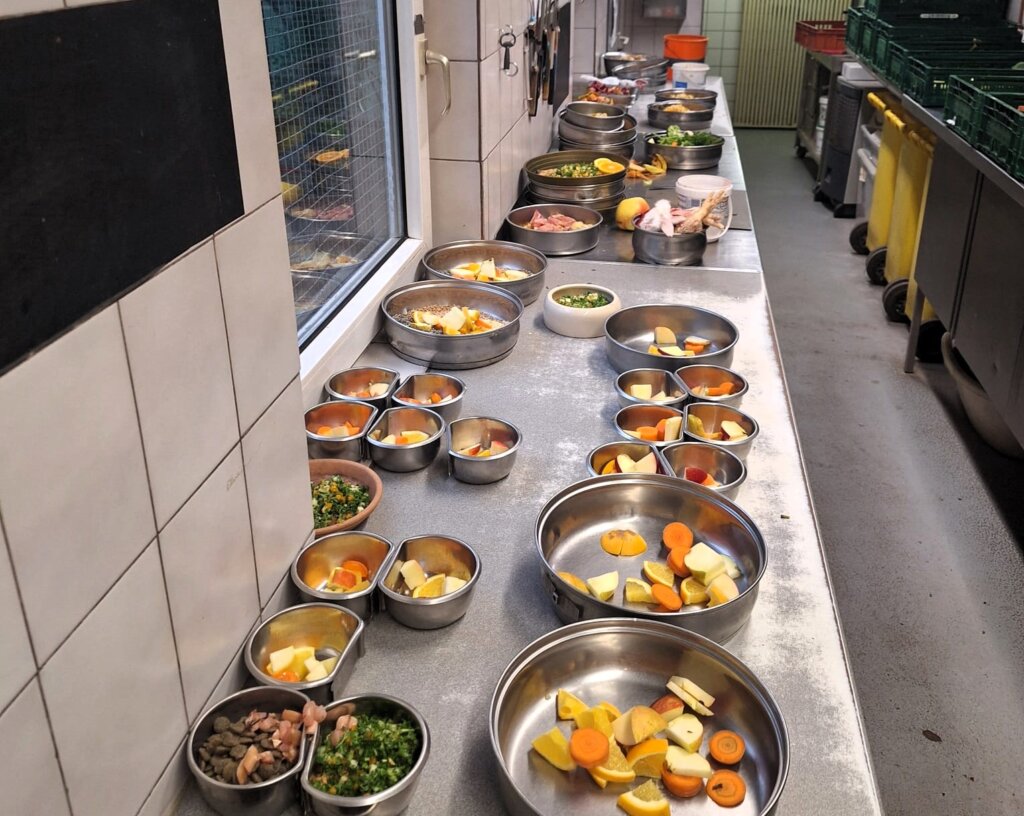 Neben zahlreichen Gehegen bedarf auch die Futterküche einer dringenden Renovierung. (Archivfoto: © Martina Hörle)