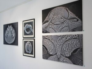 Wer wissen möchte, was er auf den Bildern von Karl-Heinz Schäffner sieht, kann anhand der Nummer in der ausliegenden Liste nachsehen. (Foto © Sandra Grünwald)