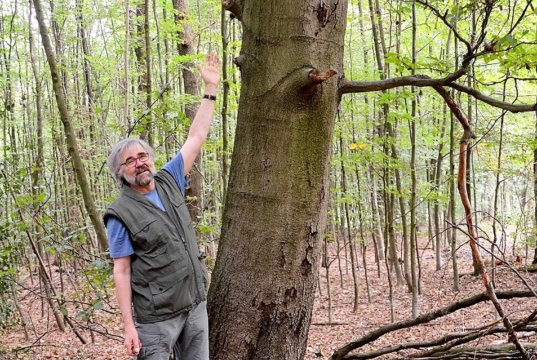 Ernst Nowak ist einer der Wupper-Tells. Er führt gerne Gruppen durch den Flüsterwald und weist auf die Einzigartigkeiten in der Natur hin. (Foto: © Martina Hörle)