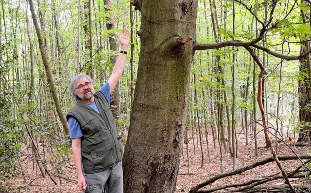 Ernst Nowak ist einer der Wupper-Tells. Er führt gerne Gruppen durch den Flüsterwald und weist auf die Einzigartigkeiten in der Natur hin. (Foto: © Martina Hörle)