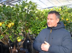 Timm Preuhs gab im Kalthaus des Botanischen Gartens einen umfangreichen Einblick in die Welt der Zitrusfrüchte. (Foto: © Martina Hörle)