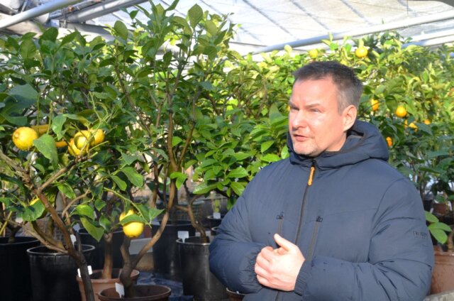 Timm Preuhs gab im Kalthaus des Botanischen Gartens einen umfangreichen Einblick in die Welt der Zitrusfrüchte. (Foto: © Martina Hörle)