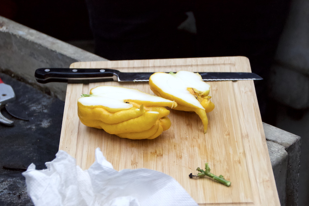 Aufgeschnitten zeigt „Buddhas Hand“ kein Fruchtfleisch. Unter der gelben Schale ist alles Mesokarp. Mesokarp nennt man das Weiße, das in allen Zitrusfrüchtchen ist. (Foto: © Sarah Schmitz)