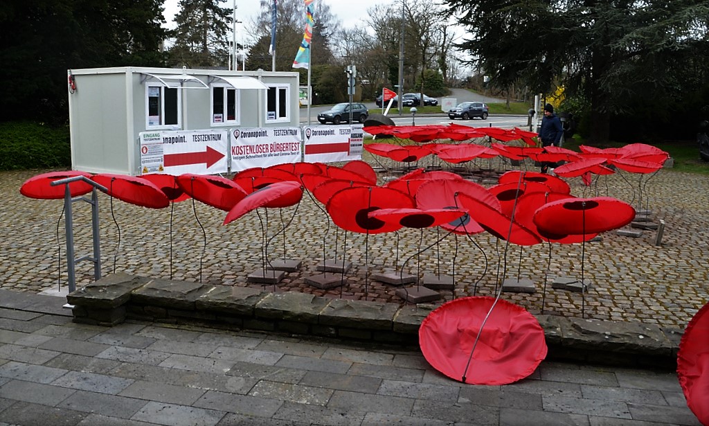 Die 200 Mohnblumen, hier noch im Aufbau, stehen ab Samstag auf dem Vorplatz des Kunstmuseums. (Foto: © Martina Hörle)