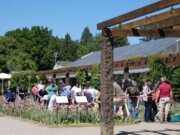 Beim Zwiebeltag am Sonntag stürmten Gartenfreunde die Beete im Botanischen Garten, um sich Blumenzwiebeln auszugraben. (Foto © Sandra Grünwald)