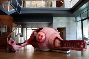 Das begehbare Gebärmutter-Modell ermöglicht Besucherinnen und Besuchern einen anschaulichen Einblick in Anatomie und Funktion der weiblichen Organe. Es steht im Mittelpunkt des 1. Solinger Tages für Frauengesundheit am 6. März im Hofgarten. (Foto: © Schaustellerbetrieb TZVZ GmbH)