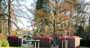 Im Rahmen von "AnpaSo" werden nun 21 Bäume und acht Obstbäume an verschiedenen Standorten im PArk der Diakonie Bethanien in Aufderhöhe gepflanzt. (Foto: © Bethanien)