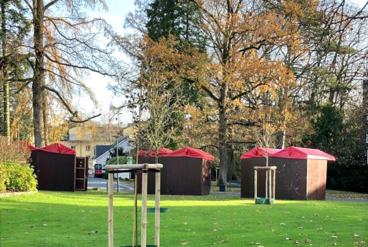 Im Rahmen von "AnpaSo" werden nun 21 Bäume und acht Obstbäume an verschiedenen Standorten im PArk der Diakonie Bethanien in Aufderhöhe gepflanzt. (Foto: © Bethanien)