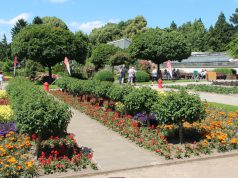 Es kommen weniger Besucher in den Botanischen Garten. Darüber beklagt sich die Stiftung in einer Pressemitteilung. Grund dafür sei die schlechte Toilettensituation im Park. (Archivfoto: © Bastian Glumm)