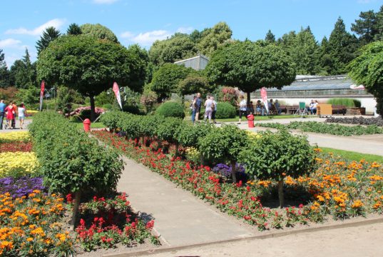 Es kommen weniger Besucher in den Botanischen Garten. Darüber beklagt sich die Stiftung in einer Pressemitteilung. Grund dafür sei die schlechte Toilettensituation im Park. (Archivfoto: © Bastian Glumm)