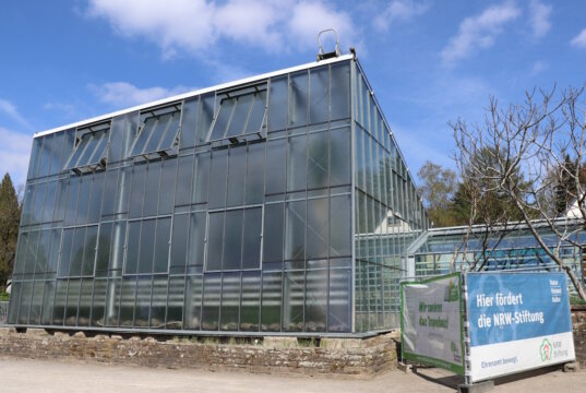 Das Tropenhaus im Botanischen Garten Solingen. (Archivfoto: © Bastian Glumm)
