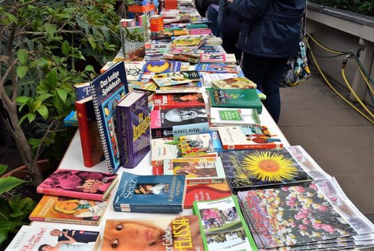 Die Bücherbörse hat nichts von ihrer Anziehung verloren. Auch in diesem Jahr gab es wieder jede Menge Lesestoff für die Besucher. (Foto: © Martina Hörle)