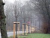 Die Burger Landstraße in Solingen. (Archivfoto: © Bastian Glumm)