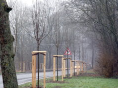 Die Burger Landstraße in Solingen. (Archivfoto: © Bastian Glumm)