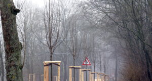 Die Burger Landstraße in Solingen. (Archivfoto: © Bastian Glumm)