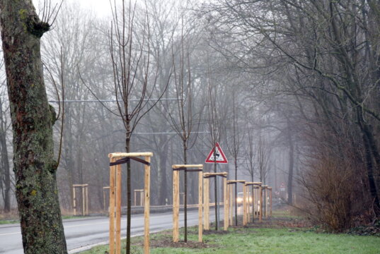 Die Burger Landstraße in Solingen. (Archivfoto: © Bastian Glumm)