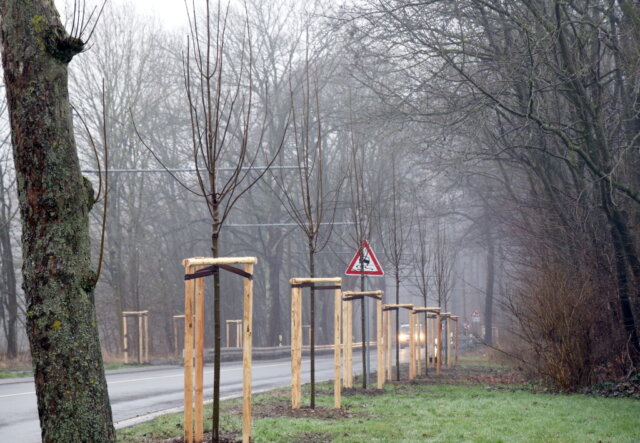 Die Burger Landstraße in Solingen. (Archivfoto: © Bastian Glumm)