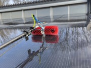 Professionelle PV-Modulreinigung mit Reinwasser und Spezialbürste: So werden Ablagerungen schonend und rückstandsfrei entfernt. (Foto: © CELSIUS [1.5])