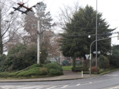 Die kleine Parkanlage Dickenbusch befindet sich zwischen der Kölner- und der Katternberger Straße. (Foto: © Bastian Glumm)