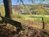 Unsere Gastautorin Miriam Köppchen war im Ennepetal und im benachbarten Hülsenbeckertal in der Natur unterwegs. (Foto: © Miriam Köppchen)