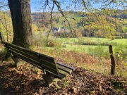 Unsere Gastautorin Miriam Köppchen war im Ennepetal und im benachbarten Hülsenbeckertal in der Natur unterwegs. (Foto: © Miriam Köppchen)