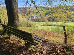 Unsere Gastautorin Miriam Köppchen war im Ennepetal und im benachbarten Hülsenbeckertal in der Natur unterwegs. (Foto: © Miriam Köppchen)