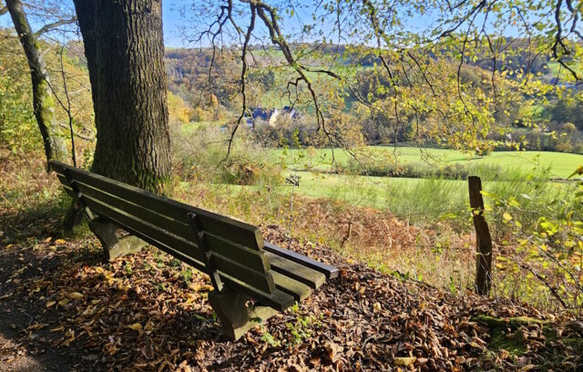 Unsere Gastautorin Miriam Köppchen war im Ennepetal und im benachbarten Hülsenbeckertal in der Natur unterwegs. (Foto: © Miriam Köppchen)