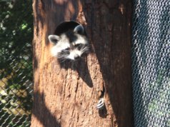 (Foto: © Bastian Glumm)