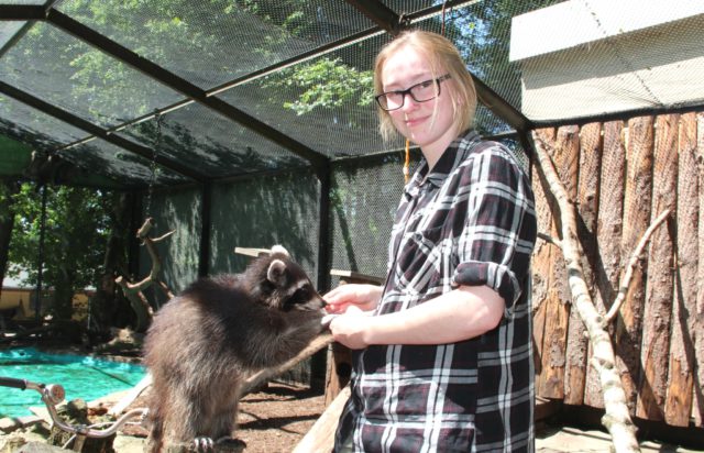 fauna-waschbaeren-ausbildung-azubi-tierpflege Seit Anfang Mai setzt Leonie Johland (21) ihre Ausbildung zur Tierpflegerin in der Fauna fort. Angefangen hatte sie diese in einem Park in Rheinland-Pfalz, wo die junge Frau allerdings nicht glücklich wurde. (Foto: © B. Glumm)