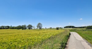 Der Sommerferienmonat Juli fiel im Wuppergebiet sehr wechselhaft aus. Die Tage mit Regen oder Schauern waren in der Mehrzahl. (Foto: © Bastian Glumm)