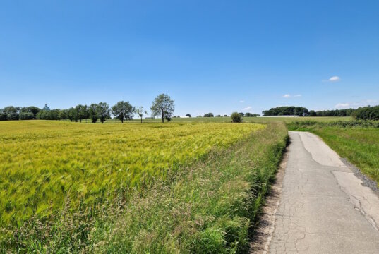 Der Sommerferienmonat Juli fiel im Wuppergebiet sehr wechselhaft aus. Die Tage mit Regen oder Schauern waren in der Mehrzahl. (Foto: © Bastian Glumm)