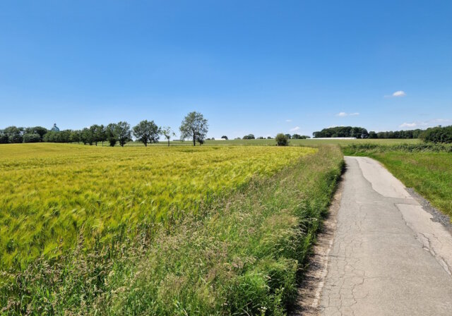 Der Sommerferienmonat Juli fiel im Wuppergebiet sehr wechselhaft aus. Die Tage mit Regen oder Schauern waren in der Mehrzahl. (Foto: © Bastian Glumm)