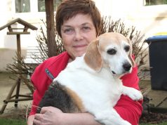 Carola Horlemann vom Verein Fellfreunde mit Beagledame Bigi. Aus einem ungarischen Tierheim vermittelt die engagierte Solingerin Hunde nach Deutschland. (Foto: © B. Glumm)