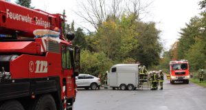 Die Feuerwehr Solingen war am Sonntagnachmittag auf der Raststätte Ohligser Heide im Einsatz. Dort hatte sich ein Pferd in seinem Transportwagen verkeilt. (Foto: © Tim Oelbermann)