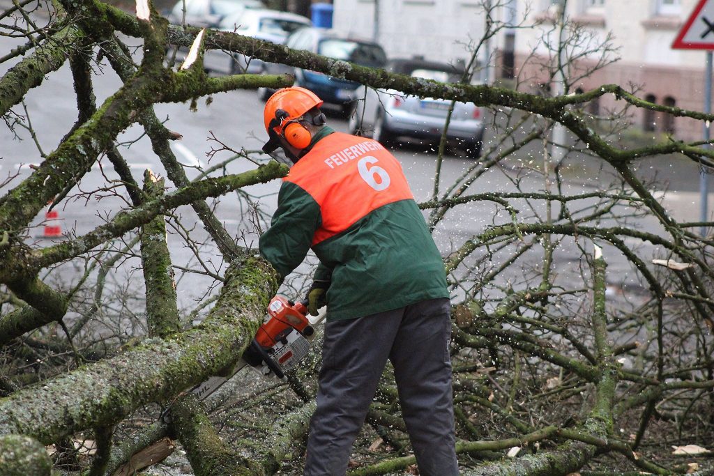 Sturmtief "Friederike" hat in Solingen seine Spuren hinterlassen. Feuerwehr, THW und Einsatzkräfte der Stadt sind noch mit den Aufräumarbeiten beschäftigt. (Foto: © Das SolingenMagazin)