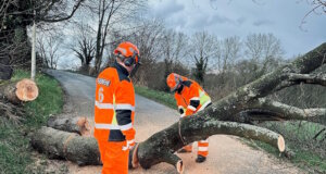 Ein schweres Unwetter mit starken Sturmböen sorgte am Montagnachmittag in Solingen für 26 Einsätze der Feuerwehr. Umgestürzte Bäume, blockierte Straßen und ein Baum, der auf ein Haus stürzte, hielten die Einsatzkräfte stundenlang auf Trab. (Foto: © Feuerwehr Solingen)