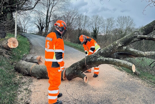 Ein schweres Unwetter mit starken Sturmböen sorgte am Montagnachmittag in Solingen für 26 Einsätze der Feuerwehr. Umgestürzte Bäume, blockierte Straßen und ein Baum, der auf ein Haus stürzte, hielten die Einsatzkräfte stundenlang auf Trab. (Foto: © Feuerwehr Solingen)