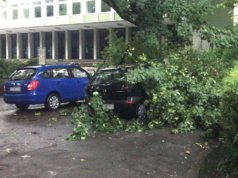 An drei Einsatzstellen mussten gestern abgebrochene Äste von der Feuerwehr entfernt werden. (Foto: © Das SolingenMagazin)
