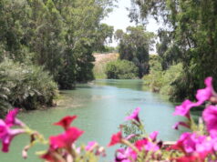 Der Fluss Jordan im nördlichen Israel. (Foto: © Bastian Glumm)