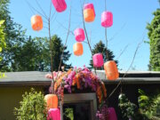 Garten Ulbrich beteiligt sich seit vielen Jahren an der Offenen Gartenpforte. Die Anlage weist mittlerweile über 1.500 Arten an Gehölzen und Pflanzen auf. (Foto: © Martina Hörle)