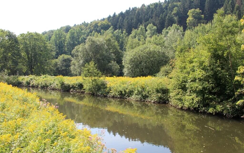 Das Solinger Gewässernetz umfasst mehr als 200 Fließgewässer. Für die Unterhaltung sind sowohl der Bergisch-Rheinische Wasserverband also auch der Wupperverband in enger Abstimmung mit der Unteren Wasserbehörde Solingen zuständig. (Archivfoto: © Bastian Glumm)