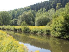 Das Solinger Gewässernetz umfasst mehr als 200 Fließgewässer. Für die Unterhaltung sind sowohl der Bergisch-Rheinische Wasserverband also auch der Wupperverband in enger Abstimmung mit der Unteren Wasserbehörde Solingen zuständig. (Archivfoto: © Bastian Glumm)