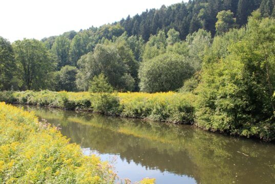 Das Solinger Gewässernetz umfasst mehr als 200 Fließgewässer. Für die Unterhaltung sind sowohl der Bergisch-Rheinische Wasserverband also auch der Wupperverband in enger Abstimmung mit der Unteren Wasserbehörde Solingen zuständig. (Archivfoto: © Bastian Glumm)