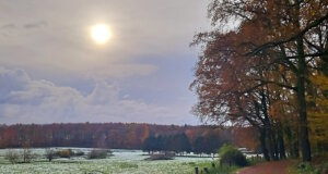 Unsere Gastautorin Miriam Köppchen drehte jetzt eine Runde um den Gravenberg. Es war auch ein Spaziergang vom Herbst in den Winter. (Foto: © Miriam Köppchen)